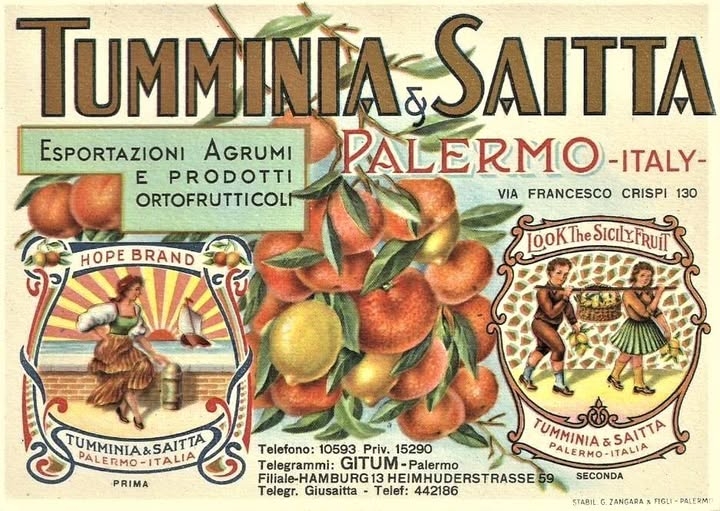 Il commercio degli agrumi a Palermo nei primi del 900'