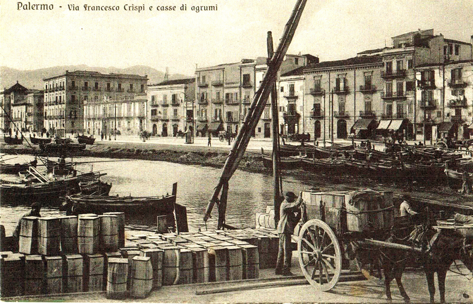 Il commercio degli agrumi a Palermo nei primi del 900'